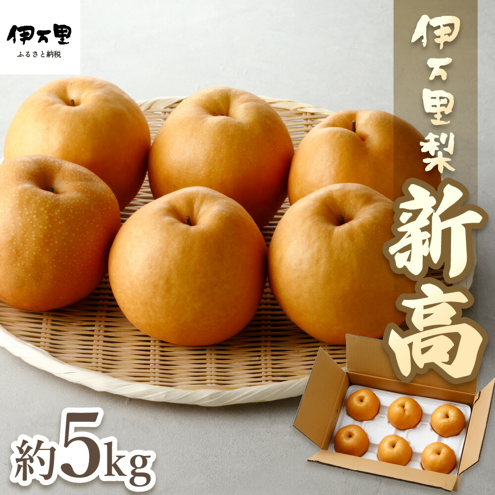 【ふるさと納税】【2025年産先行予約】【数量限定】伊万里梨「新高」 5kg 大型種 B162