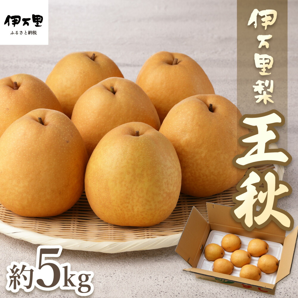 【ふるさと納税】【2025年産先行予約】【数量限定】伊万里梨「王秋」 約5kg  B163