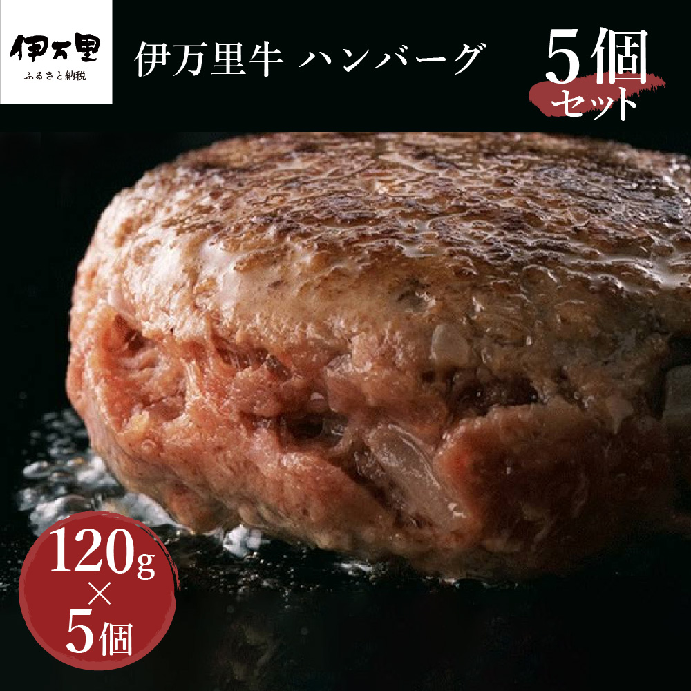 今年の新作から定番まで！ ふるさと納税 Ｃ−０７８．佐賀牛ハンバーグセット 佐賀県佐賀市 materialworldblog.com