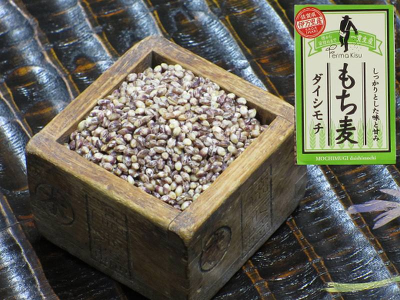 【ふるさと納税】もち麦（ダイシモチ）1600ｇ×2袋 B146
