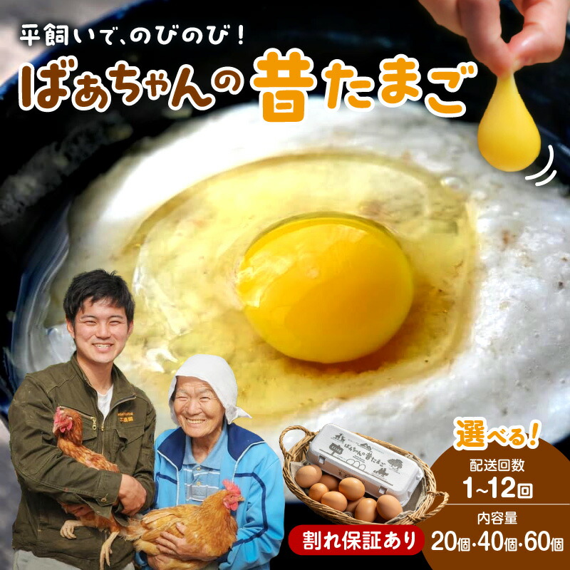 【ふるさと納税】平飼いで のびのび養鶏！ばあちゃんの昔たまご 割れ保証あり 20個 40個 60個 1回 3回 6回 12回