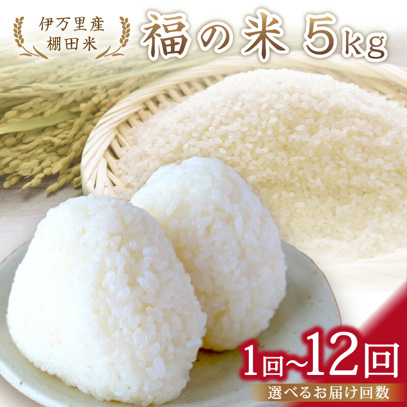 【ふるさと納税】令和7年産 特別栽培 伊万里産 棚田米「福の米」5kg ＜回数が選べる／1回・4回・6回・12回＞ 定期便｜佐賀県伊万里市