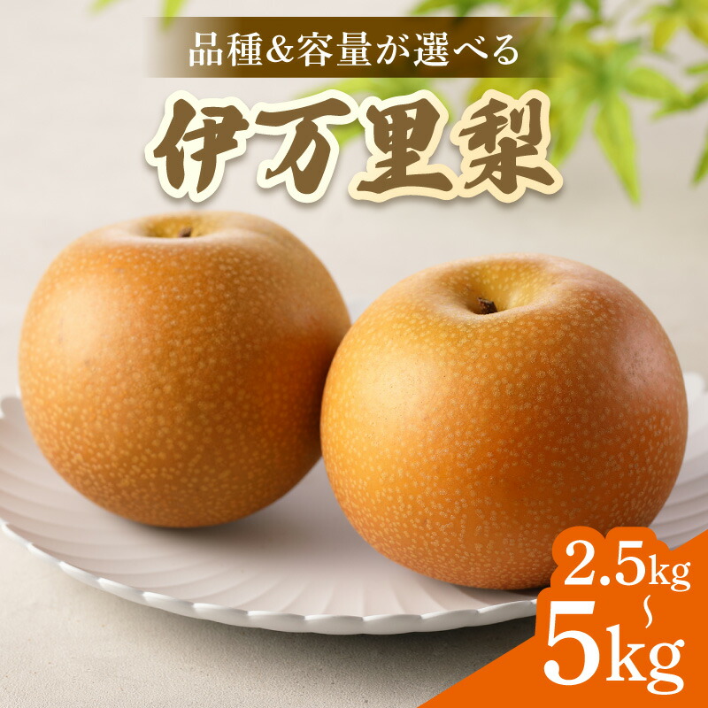 伊万里梨「新高」5kgの返礼品写真