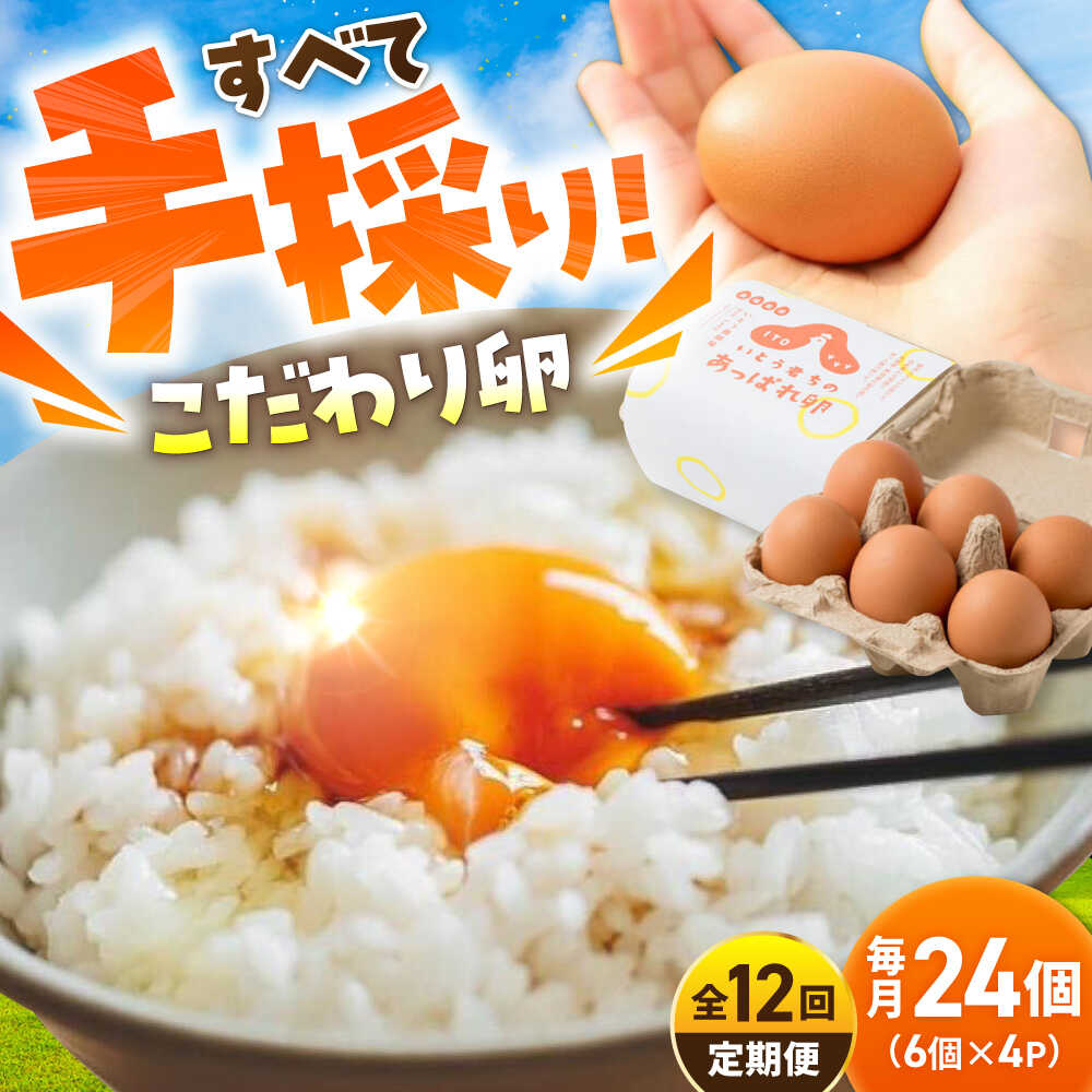 【ふるさと納税】【12回定期便】いとう君ちのあっぱれ卵 24個（6個×4パック）ギフトBOX /いとう養鶏場[UAQ011] 卵 たまご タマゴ 鶏卵 ギフトボックス 定期便