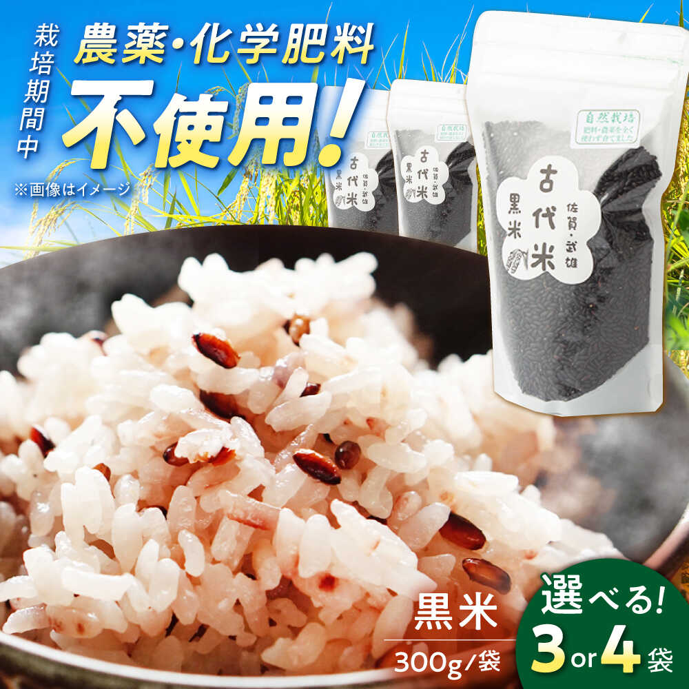 【ふるさと納税】【選べる内容量】自然農法で育てた 古代米 黒米  900g（300g×3袋）/ 1.2kg（300g×4袋） /永尾忠則 [UAS010] 雑穀 雑穀米 お米 米