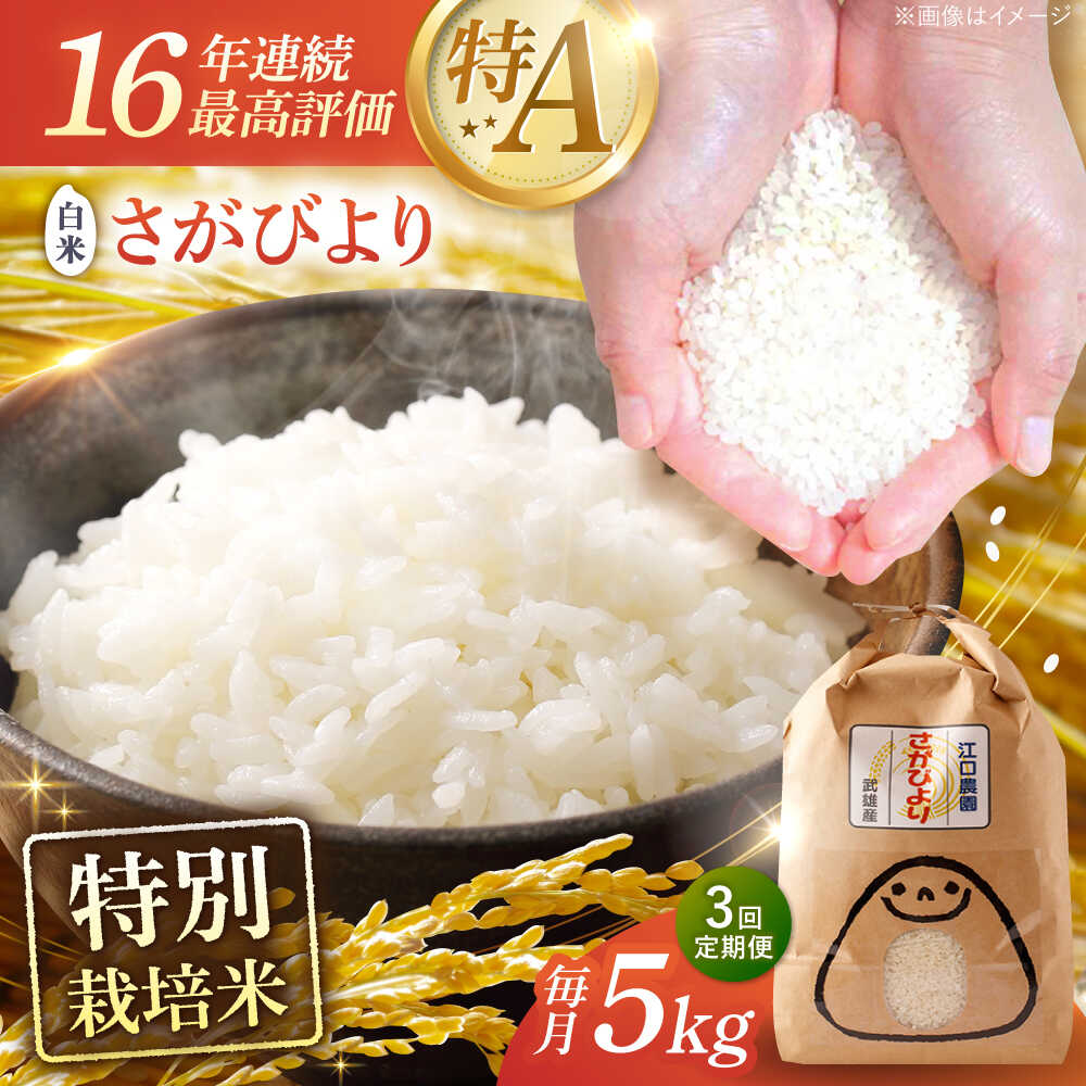 食品 みい様専用 精米小分け