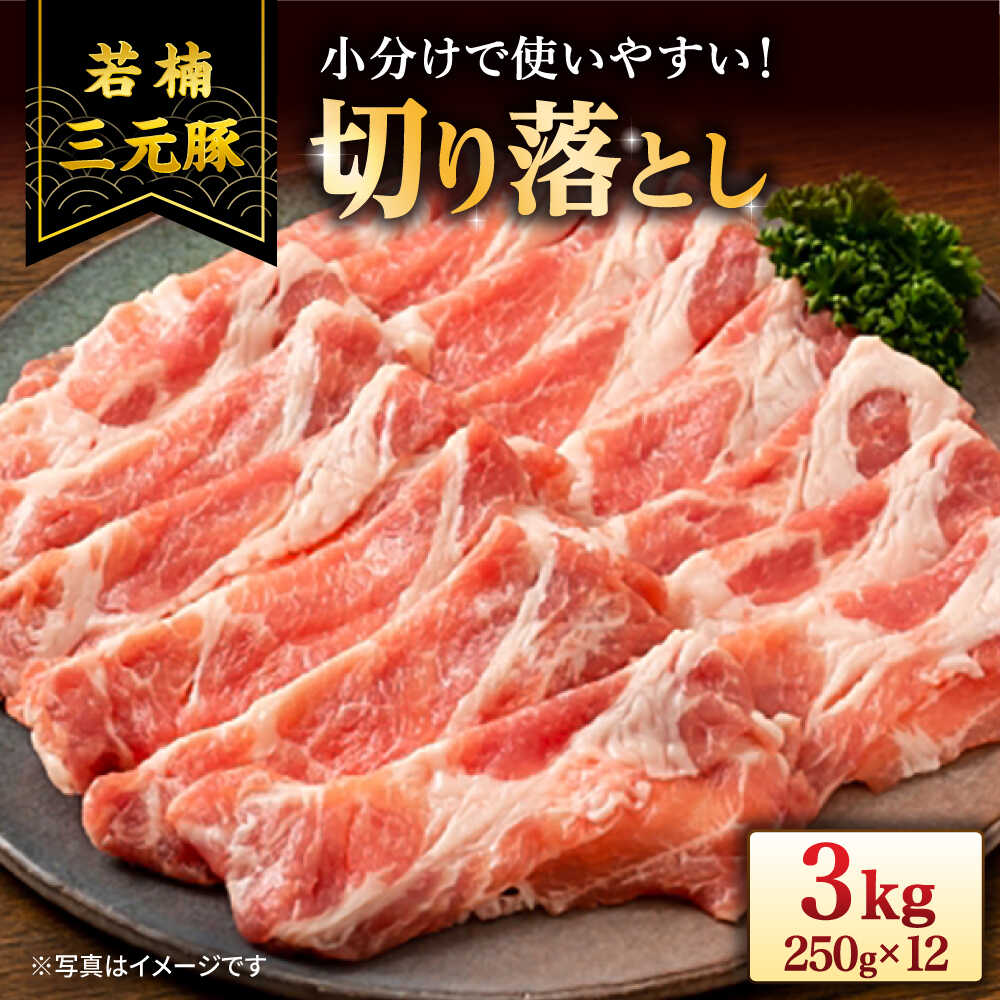 【ふるさと納税】若楠三元豚 切り落とし 3kg（250g×12p）/ナチュラルフーズ[UBH124]