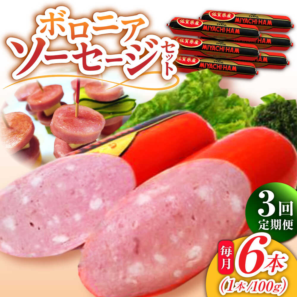 【ふるさと納税】【3回定期便】宮地ハムのロングセラー ボロニアソーセージ 100g×6本 /宮地ハム[UBM011] ソーセージ 豚肉 豚 お肉 肉 定期便 22,200円