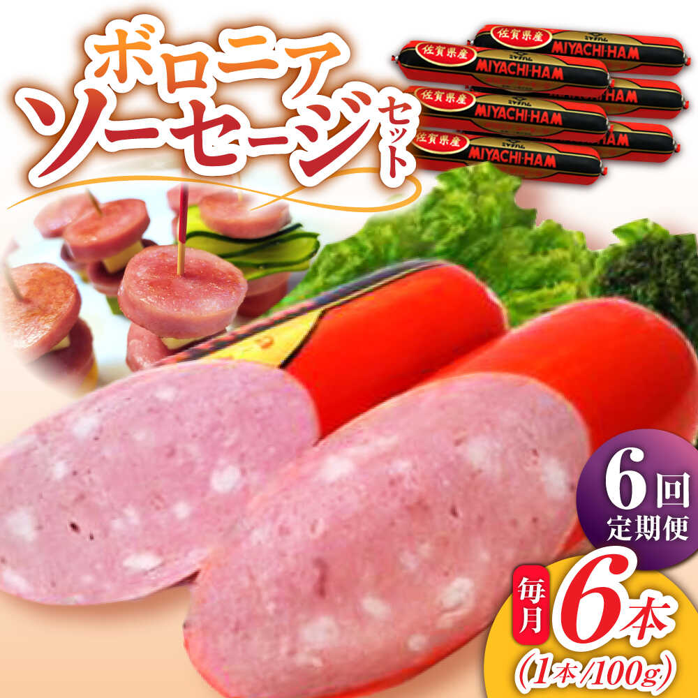 【ふるさと納税】【6回定期便】宮地ハムのロングセラー ボロニアソーセージ 100g×6本 /宮地ハム[UBM012] ソーセージ 豚肉 豚 お肉 肉 定期便