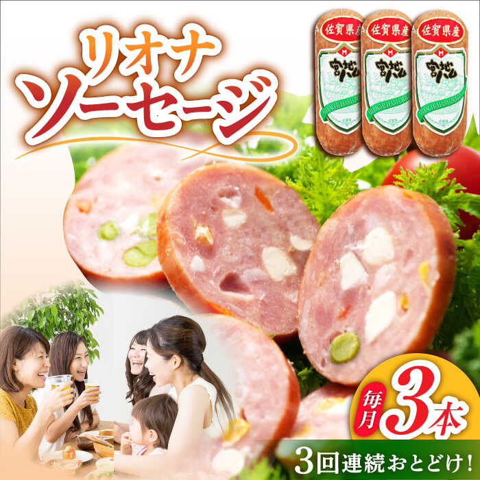 【ふるさと納税】【3回定期便】リオナソーセージ 200g&times;3本 /宮地ハム[UBM030] ソーセージ 豚肉 豚 お肉 肉 定期便｜佐賀県武雄市