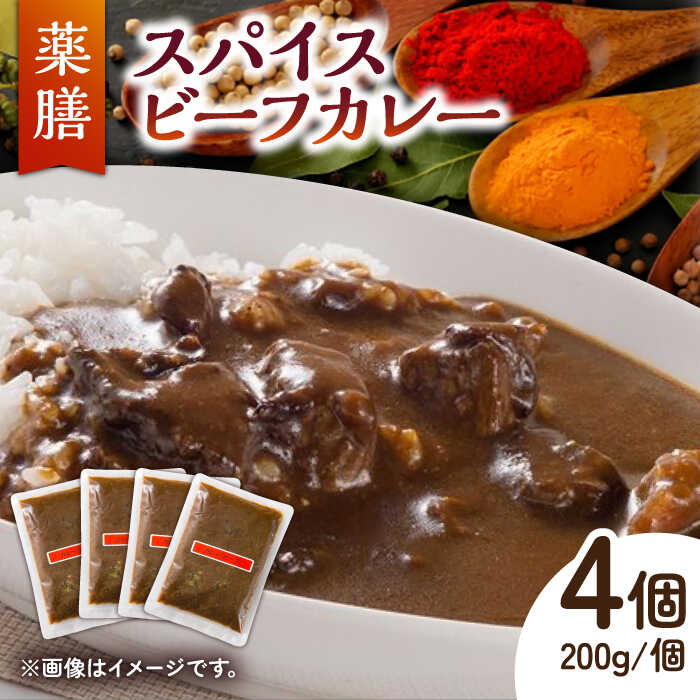 【ふるさと納税】32種のスパイス 薬膳スパイス ビーフカレー /自然庵 [UCQ002] カレー 冷凍カレー レトルト スパイスカレー 個包装