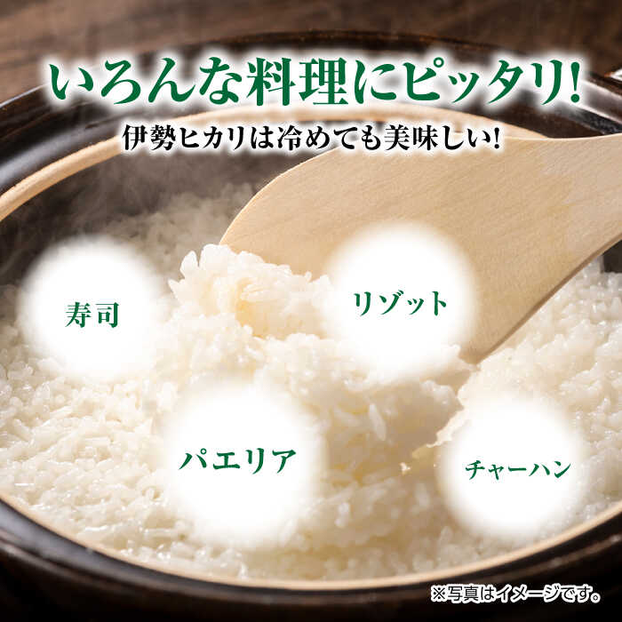 精米２０kg！完全自然栽培の美味しいお米！令和４年度佐賀県産「伊勢