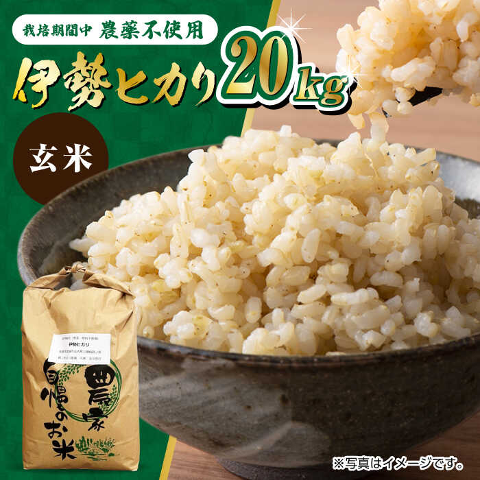 食品 令和7年 自然栽培米 イセヒカリ 20kg 玄米