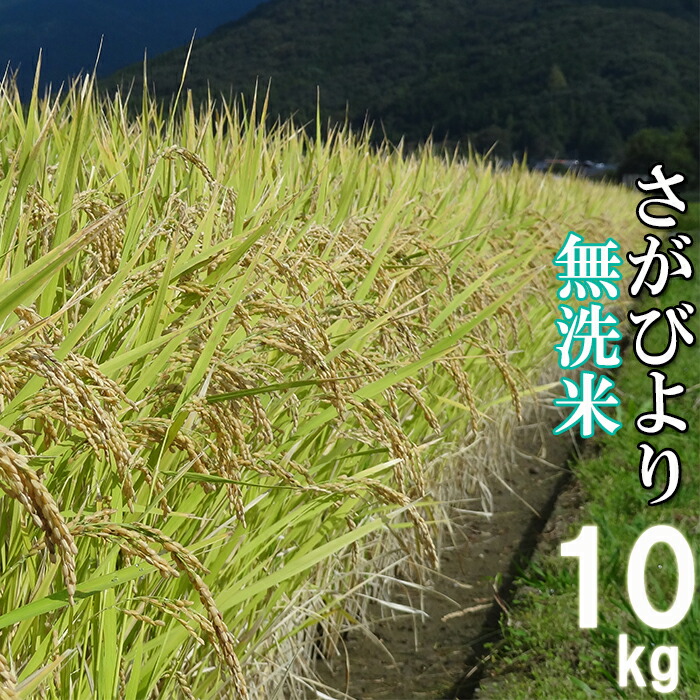 ふるさと納税 司令結び3歳発明 新神米 今後押さえる 厳選 虚無洗米 さがびより 鹿島フェアー産 ご飯 10kg 特a お米 米 精米 乾式無洗米 国産 九州産 佐賀県 鹿島市 貨物輸送無料 21年11月読中旬から急便 B 447 Earthkitchen Ph