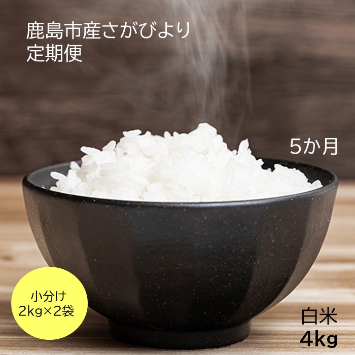 ふるさと納税 定期便5回 白米 計kg 2kg 2袋 5回 新鮮米 さがびより 定期便5カ月 令和2年産 佐賀県 鹿島産 小分けタイプ お米 米 精米 国産 九州産 鹿島市 送料無料 E 101 Ice Org Br