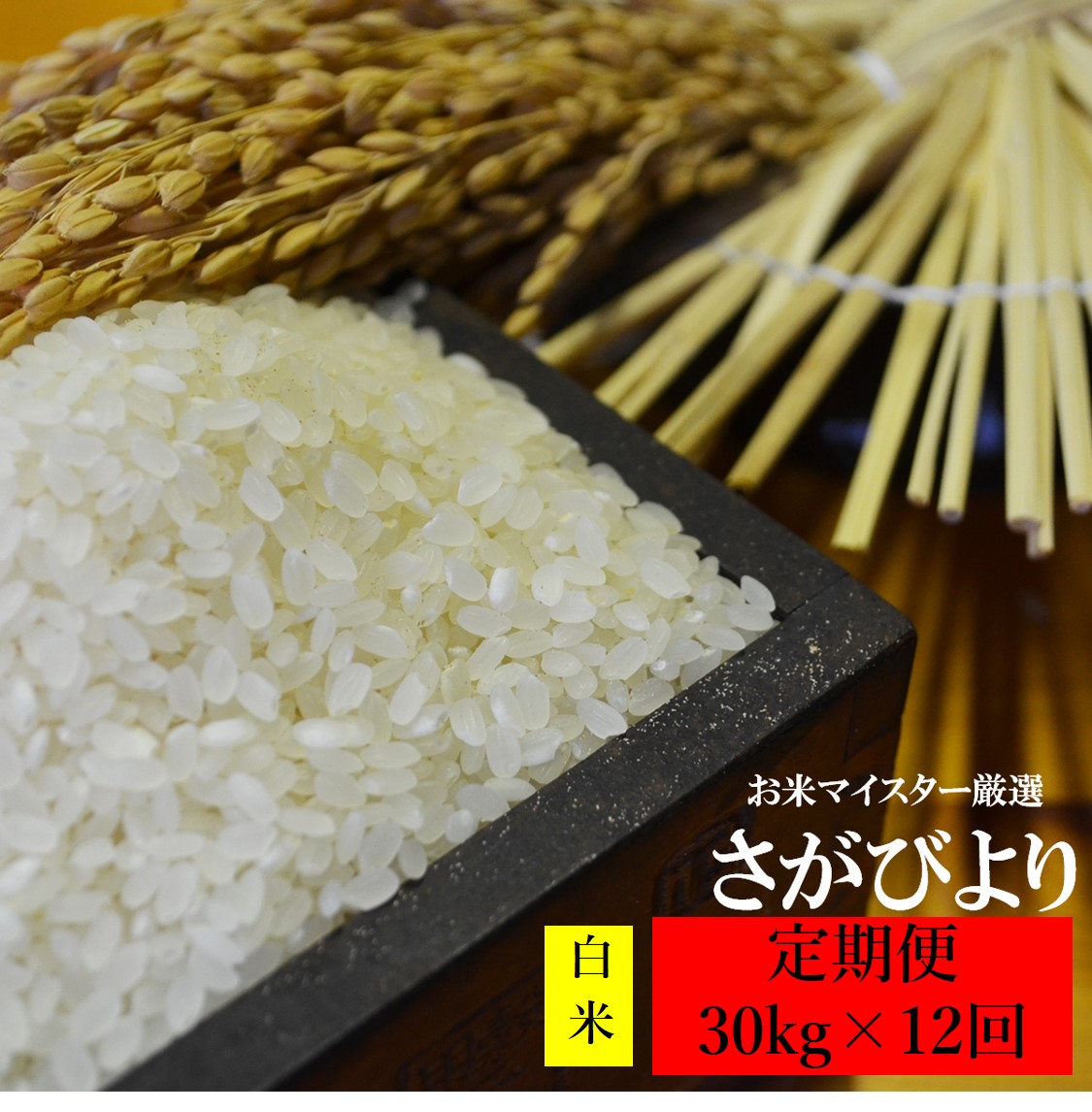 国産 楽天市場 ふるさと納税 12ヶ月定期便 １等米限定 さがびより 白米 30kg 10kg 3袋 12回 定期便 鹿島市産 12か月 お米 米 精米 国産 九州産 佐賀県 鹿島市 送料無料 V 19 佐賀県鹿島市 時間指定不可 Lexusoman Com