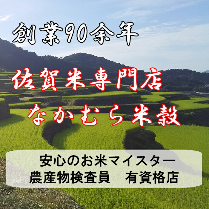 大きい割引 お米マイスターセレクト さがびより ヒヨクモチ セット 5kg×2種 計10kg 白米 お米 精米 米 ひよくもち もち米 佐賀県産 佐賀県  鹿島市 送料無料 B-463 fucoa.cl