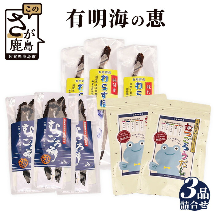 【ふるさと納税】有明海の恵3品 ( 丸干し むつごろう 2匹入×2袋・味付き わらすぼ 1匹入×3袋・むつごろう出汁 45g×2袋)ムツゴロウ ワラスボ おやつ おつまみ 温め不要 調理不要 有明海産 ご当地 特産品 詰め合わせ 珍味 佐賀県 鹿島市 佐賀 グルメ 送料無料 B-450|佐賀県鹿島市