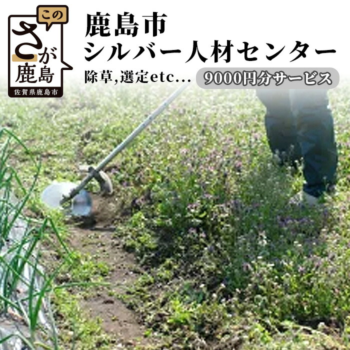 【ふるさと納税】鹿島市シルバー人材センター9,000円分サービス 佐賀県 鹿島市 草刈り 草取り 剪定 清掃 墓掃除 墓 家屋修繕 修繕 ゴミ出し ふすま張替え 障子張替え E-109｜佐賀県鹿島市