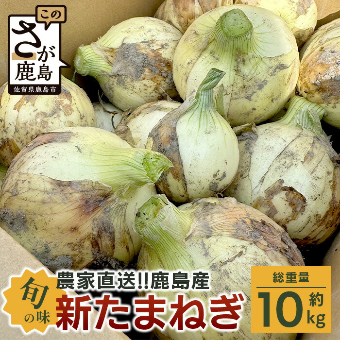 【ふるさと納税】5/27まで！★4.87＼農家直送新たまねぎ／鹿島市産 約10kg サイズ混合  | ふるさと納税 野菜 玉ねぎ タマネギ 新玉ねぎ 玉葱 国産 産地直送 産直 生産者応援 ふるさと 佐賀県 鹿島市 リピーター 高評価 人気 送料無料 AA-17
