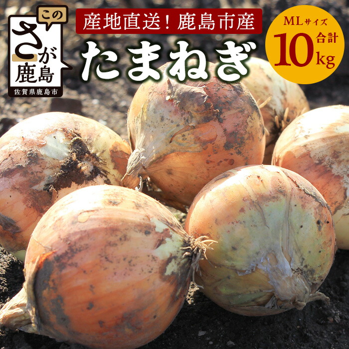 【ふるさと納税】【先行予約】佐賀県鹿島産たまねぎ 約10kg（MLサイズ）2026年5月より発送｜永吉家の玉ねぎ 安心安全 人気 野菜 やさい 玉ねぎ tamanegi タマネギ 万能野菜 保存 佐賀県 鹿島市 送料無料 b-736