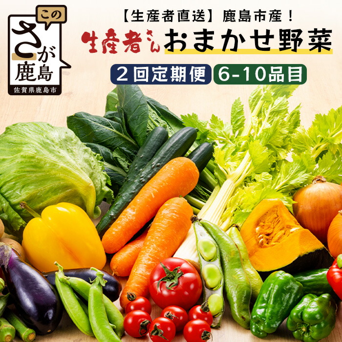 【ふるさと納税】【定期便】【鹿島市産】野菜 新鮮 直送 セット お楽しみ 2回  大容量 6～10品目 | ふるさと納税 野菜 定期便 やさい 定期 野菜 セット 旬 詰め合わせ 国産 佐賀県 鹿島市 ふるさと 人気  送料無料  B-739