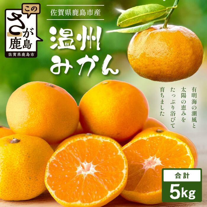 楽天市場】【ふるさと納税】【訳あり】高評価4.5以上！やーら
