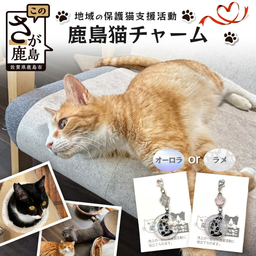 楽天市場】【ふるさと納税】動物愛護団体 絆プラネット オリジナル T