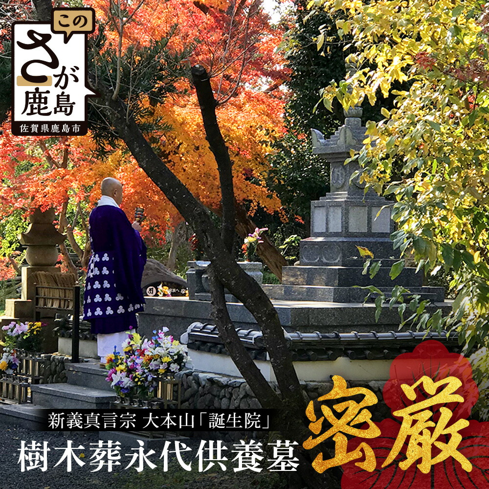 【ふるさと納税】樹木葬永代供養墓「密厳」　佐賀県 鹿島市 鹿島 誕生院 お寺 寺院 樹木葬 永代供養 宗教 宗派 檀家 墓じまい 管理費不要　V-61