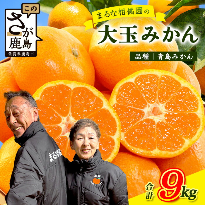 楽天市場】【ふるさと納税】☆4.67 鹿島まるな柑橘園 みかん 約10kg