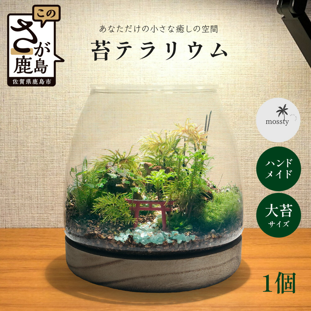 【ふるさと納税】苔テラリウム　手入れ簡単 癒やしのインテリア 卓上サイズ 誕生日 プレゼント雑貨 敬老の日 贈り物 観葉植物 初心者 鹿島市産 / mossty　J-33