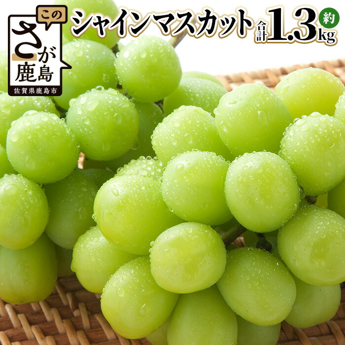 【ふるさと納税】★4.3評価【先行予約】ご家庭用|佐賀県産シャインマスカット 約1.3kg（2～3房） | 2025年8月上旬発送 | 期間限定 ぶどう 葡萄 ご褒美 佐賀県鹿島市 リピーター 人気 送料無料 B-658