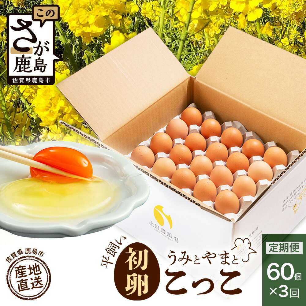 【ふるさと納税】＼初卵／【定期便3回】平飼い卵「うみとやまとこっこ」60個×3回（合計180個） S・Mサイズ混合 上田養鶏場 生産者直送 | ふるさと納税 卵 平飼い たまご 定期便 定期 3回 3ヶ月 タマゴ 玉子 鶏卵 希少 ふるさと 産地直送 佐賀県 鹿島市 送料無料 D-117