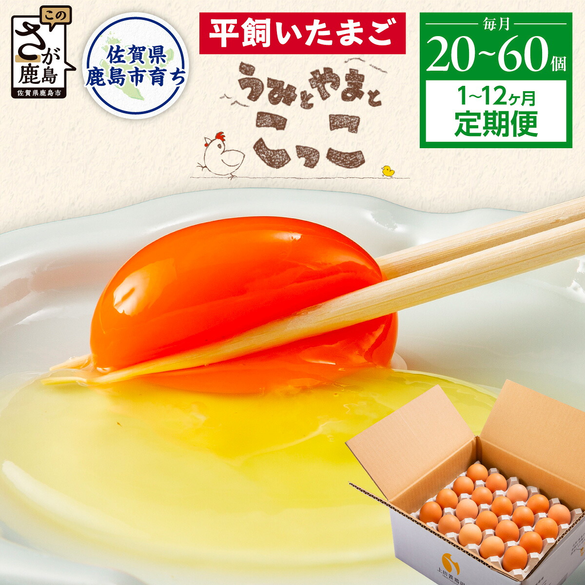【ふるさと納税】★5.0 平飼い卵 定期便 20～60個 1～12ヶ月 うみとやまとこっこ サイズ混合 上田養鶏場 | ふるさと納税 卵 たまご 生卵 鶏卵 赤たまご 平飼い 新鮮 濃厚 単品 定期便 1回 2回 3回 6回 12回 ふるさと 人気 おすすめ 産地直送 佐賀県 鹿島市 送料無料 B-396｜佐賀県鹿島市