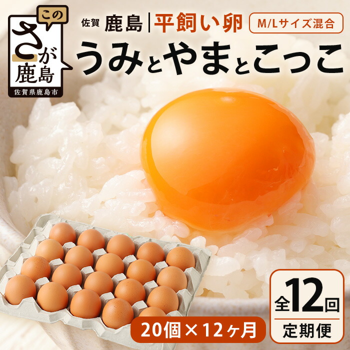 【ふるさと納税】【定期便 12回】平飼い卵「うみとやまとこっこ」20個×12か月（合計240個）上田養鶏場 生産者直送 | ふるさと納税 卵 平飼い たまご 定期便 定期 12回 12ヶ月 タマゴ 玉子 鶏卵 ふるさと 産地直送 佐賀県 鹿島市 送料無料 I-32