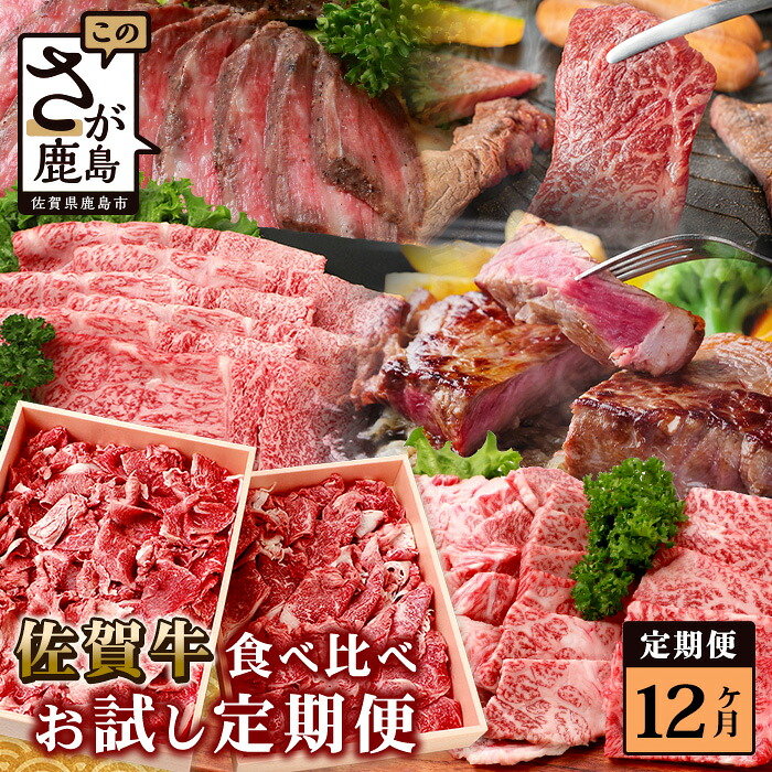 【ふるさと納税】【定期便 12回】佐賀牛 牛肉 食べ比べ 12ヶ月 定期 総量10.1kg ｜ふるさと納税 和牛 黒毛和牛 スライス 肩ロース サーロインステーキ 切り落し ローストビーフ 焼肉 サイコロステーキ 冷凍 佐賀県 鹿島市 人気 送料無料 V-46｜佐賀県鹿島市