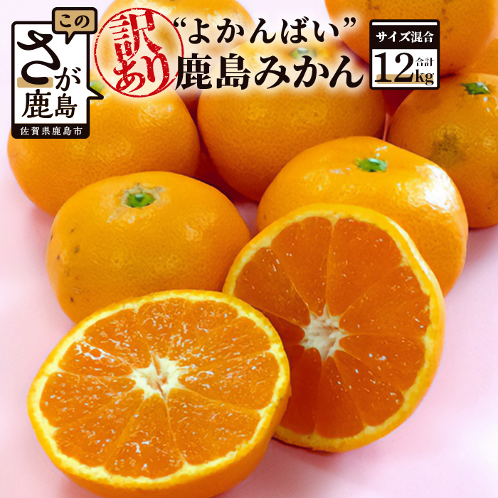 みかん みかん寒天ゼリーセット 100g | 47CLUB – 名産・特産品・ご当地