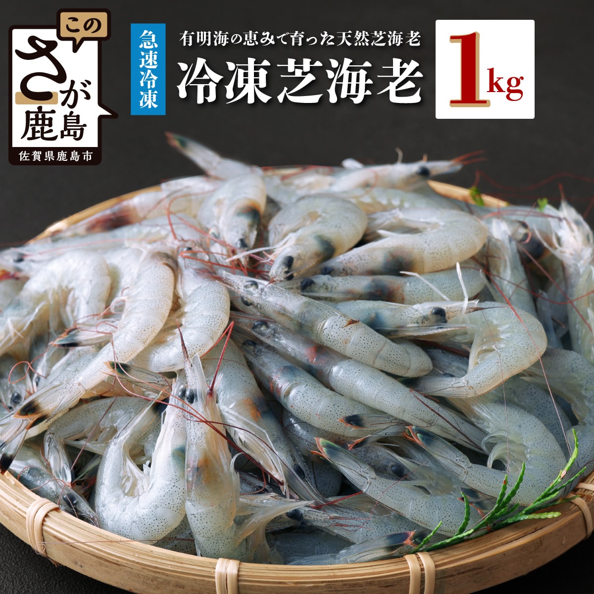 楽天市場】【ふるさと納税】【緊急支援品】有明海産 芝エビ 真エビ 2.5kg (500g×5パック) | ふるさと納税 えび 海老 芝海老 冷凍えび  国産 佐賀県 鹿島市 ふるさと 人気 送料無料 B-357 : 佐賀県鹿島市