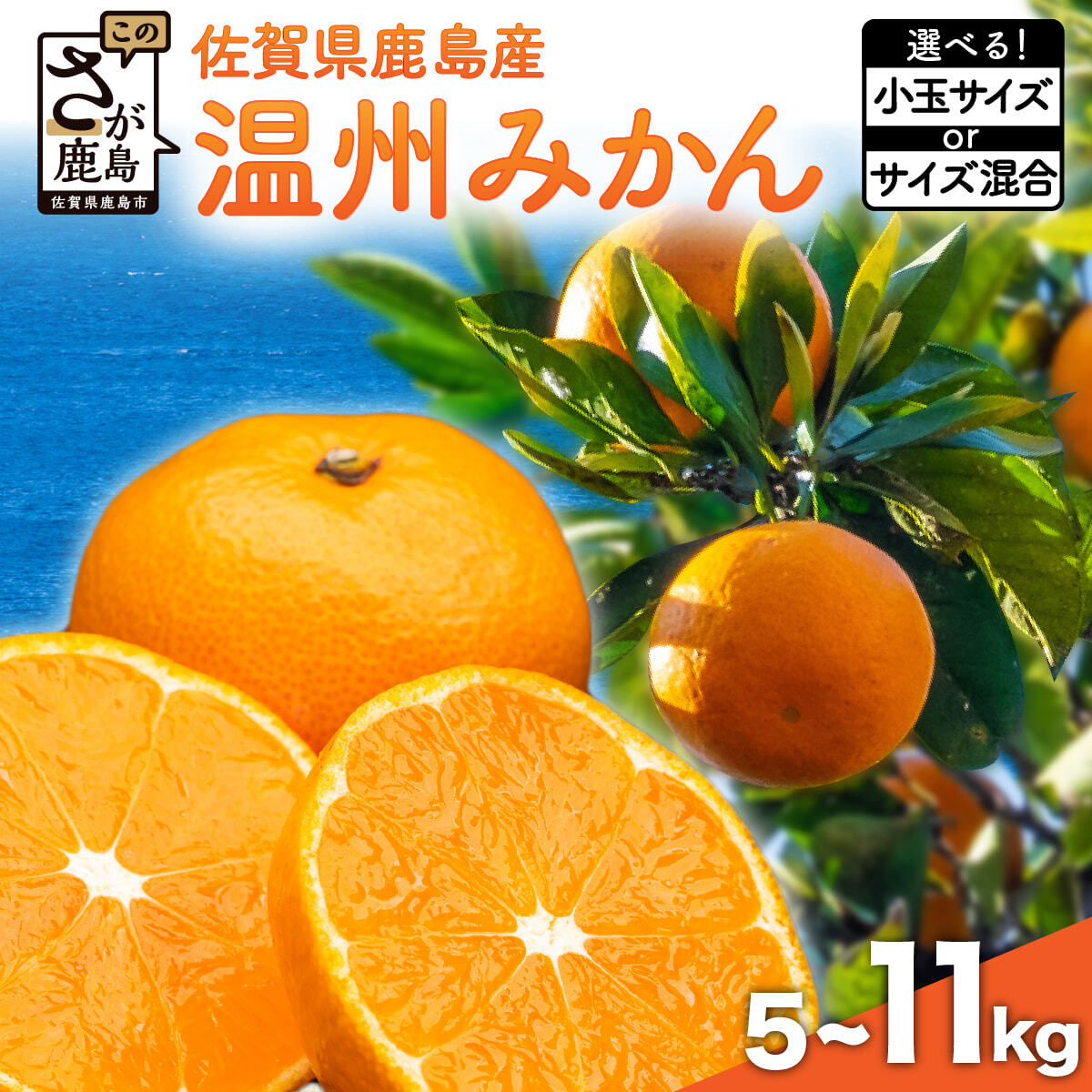 【ふるさと納税】★4.71評価 温州みかん （ 約5kg/8kg/11kg） 小玉サイズ / サイズ混合 【11月上旬～12月中旬頃発送予定】| ふるさと納税 みかん ミカン 果物 フルーツ 果実 蜜柑 お取り寄せ ギフト 国産 佐賀県産 佐賀県 鹿島市 ふるさと 人気 送料無料 B-279