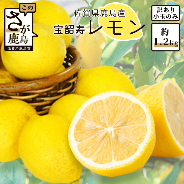 【ふるさと納税】【訳あり】希少品種！宝韶寿レモン 約1.2kg（小玉）低温蔵出し｜ノーワックス 国産レモン 皮まで安心 フルーツ 果物 柑橘類 檸檬 調味用 ドリンク用 お菓子作りにも 夏 お酒 飲み物 スッキリ 安心安全 送料無料 A-140