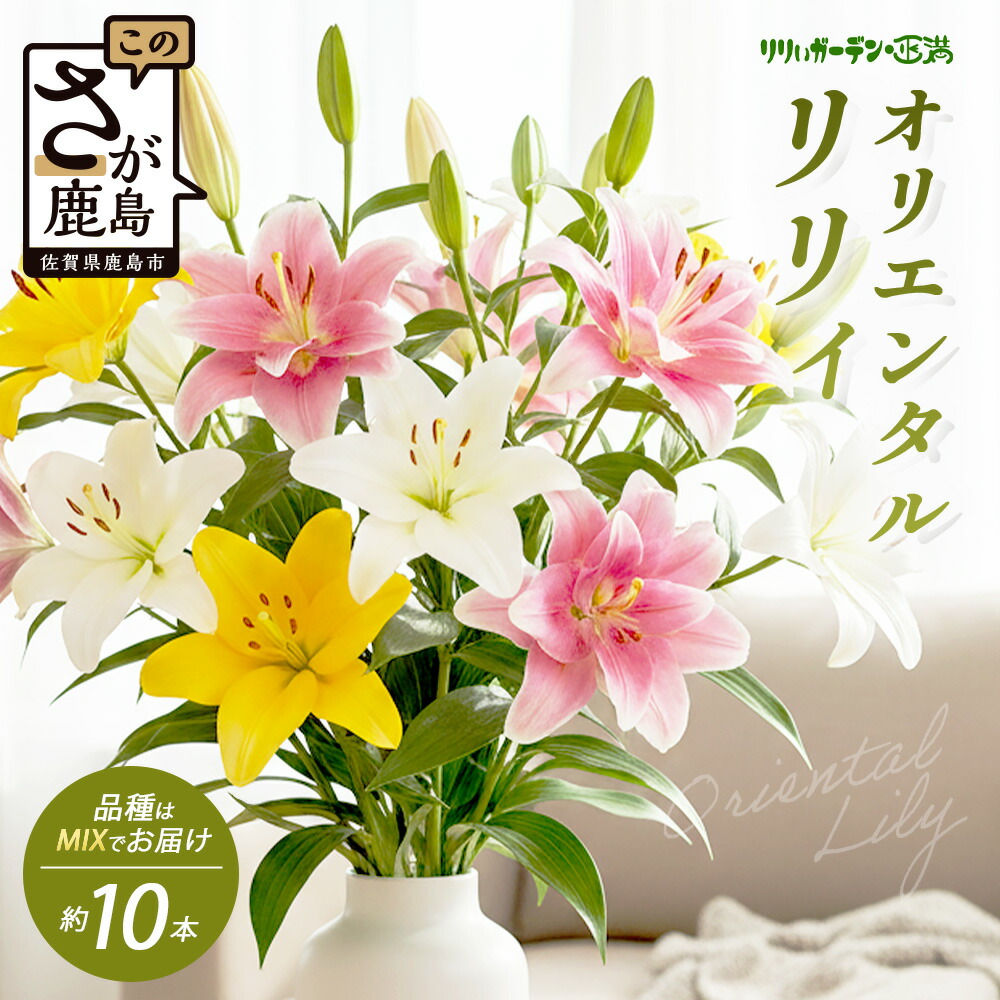 楽天市場】【ふるさと納税】☆5.0高評価 オリエンタルリリィ(約5本