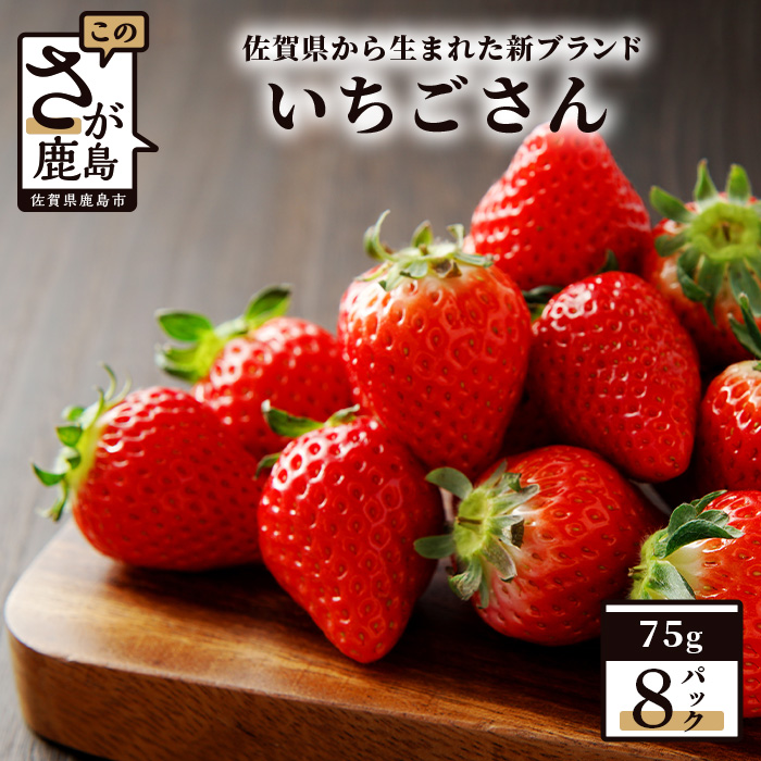 野花 卯月 いちごジャム 6本セット 佐賀県唐津市産いちごさん使用