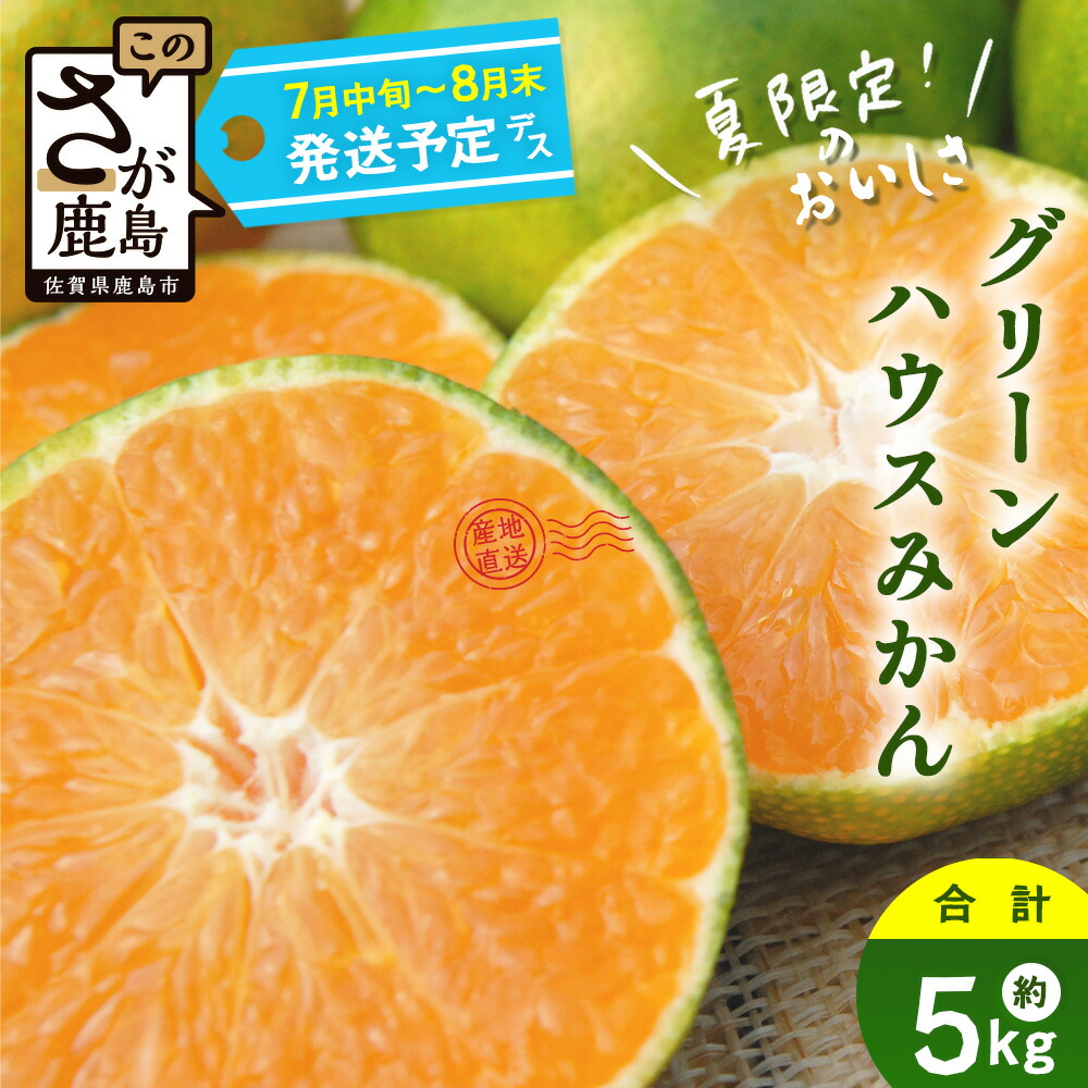 【ふるさと納税】【先行予約】 グリーンハウスみかん　5ｋｇみかん 蜜柑 ミカン ハウスみかん フルーツ 果物 くだもの 果実 冷蔵 フレッシュ 美味しい 人気 ビタミンC 健康 甘み 酸味 完熟 佐賀県 鹿島市 送料無料【2025年7月中旬～8月末まで発送予定】C-2