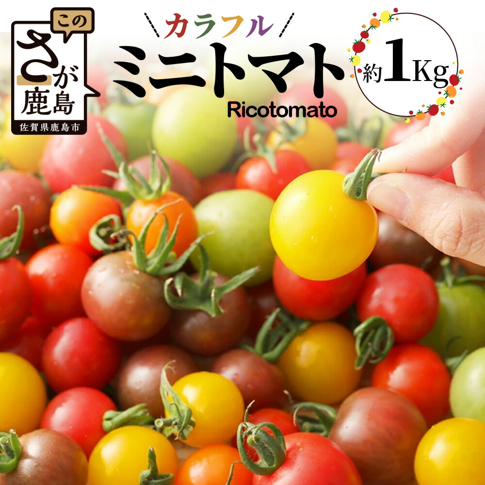 【ふるさと納税】【先行受付】2027年1月より順次発送予定｜カラフルミニトマト6種1kg｜ミニトマト トマト プチトマト 野菜 農家直送 ギフト 人気｜佐賀県鹿島市｜たにぐちファーム Ricotomato（リコトマト）～とりこになるトマト～ B-280｜佐賀県鹿島市