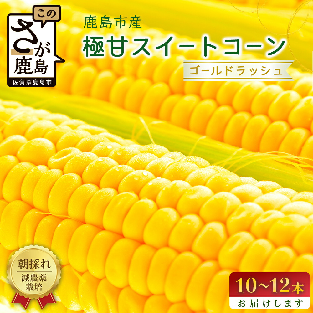 【ふるさと納税】予約受付【限定30セット】 スイートコーン （ゴールドラッシュ） 10～12本入 朝採れ とうもろこし トウモロコシ 野菜 糖度17~18℃以上 鹿島市産 佐賀県産 春 夏 旬【2025年6月上旬～順次発送】 B-319