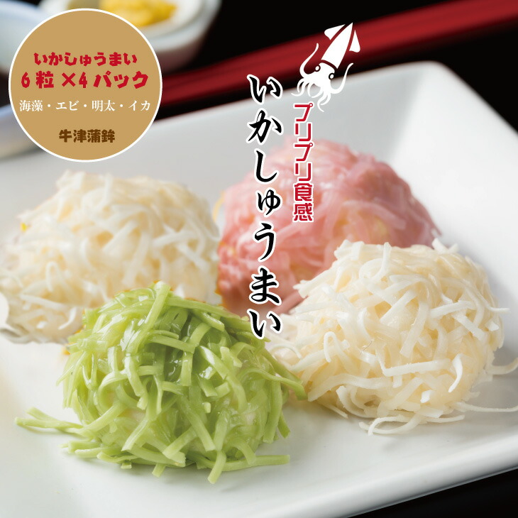 【ふるさと納税】 いかしゅうまい （4パック×6個入り） 佐賀名物イカ 焼売 送料無料 佐賀 イカ 簡単料理 おかず 【A080-001】