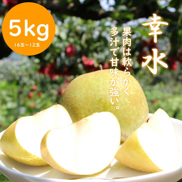 【ふるさと納税】【先行予約開始】 もぎたて 梨（ 幸水 ）5ｋｇ（ほたるの郷直売所） 送料無料 みずみずしい 果実 果物 【B130-019】