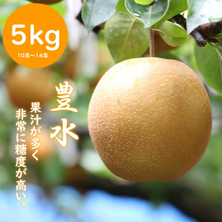 【ふるさと納税】【先行予約開始】 もぎたて梨（ 豊水 ）5ｋｇ（ほたるの郷直売所） 送料無料 果実 果物 美味しい フルーツ 【B130-020】