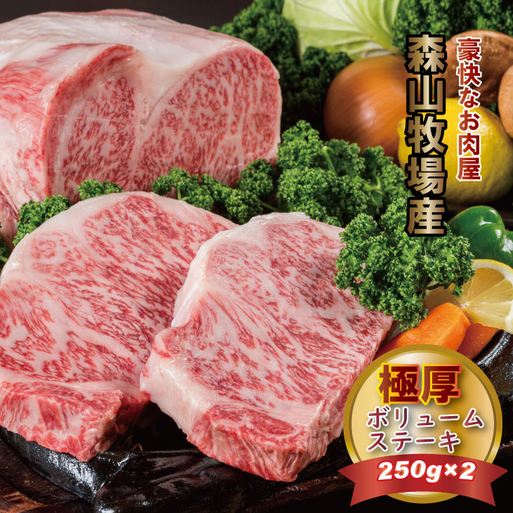 【ふるさと納税】 森山牧場産 黒毛和牛 ステーキ （250g&times;2） 佐賀和牛 ステーキ 牛肉 合計500g 黒毛和牛 お肉 厚切り 国産 森山牧場 九州産 送料無料 ブランド牛 ステーキ 焼肉 ブロック セット 人気 ランキング 高評価 牛肉 【C270-001】｜佐賀県小城市