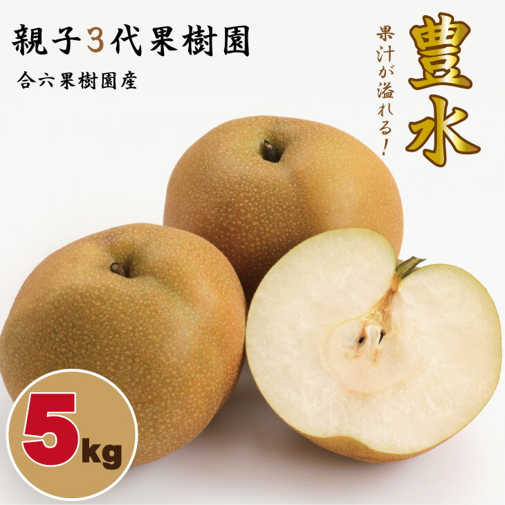 【ふるさと納税】【先行予約開始】 豊水 梨（５kg）親子三世代 農家 合六果樹園 送料無料 農家直送 フルーツ 秋 ジューシー 果実 果物 ほうすい 人気 ランキング 【B140-016】